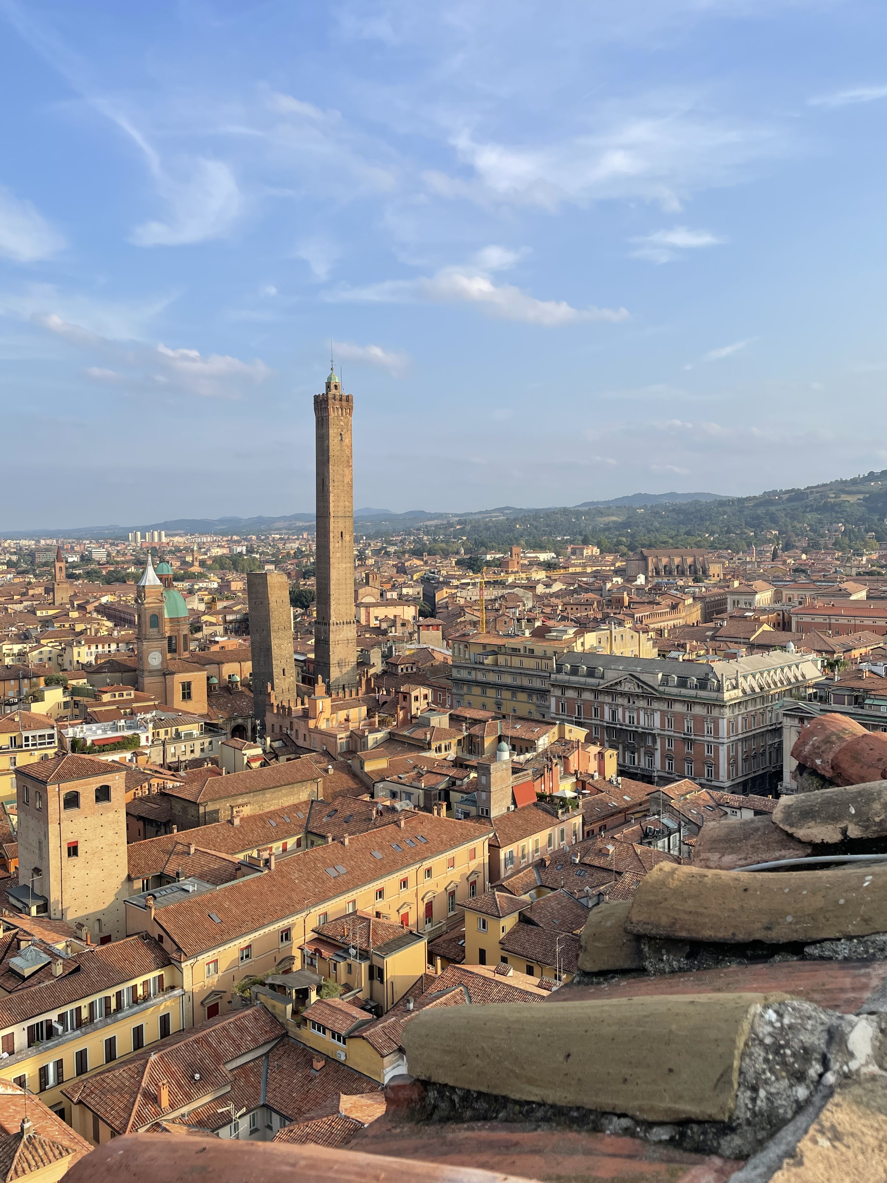 A picture of my city, Bologna